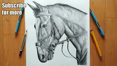 Drawing Of Horse | Without blending