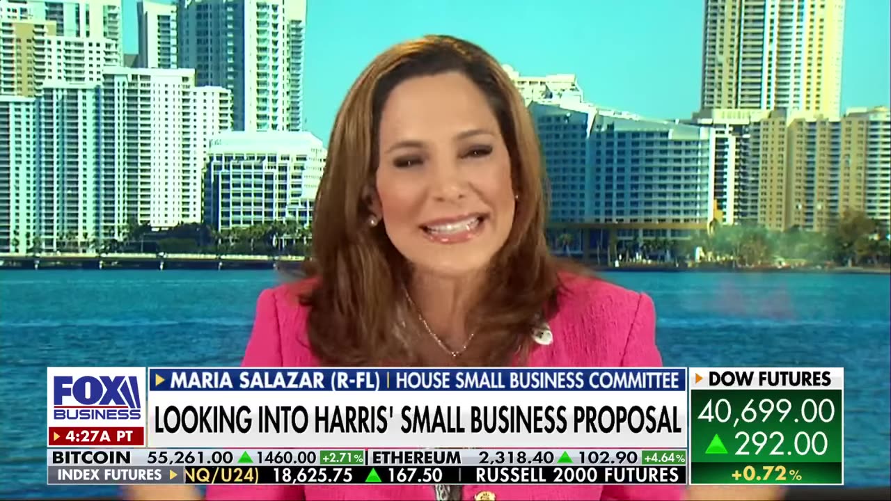 'DISASTER': GOP rep grills Kamala Harris' small business proposal