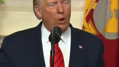 Elections are coming up: Trump v Biden. Who you choosing?