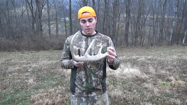 Shed Hunting 2016 Big 10 Point Shed Find