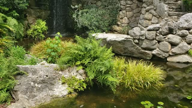 Beautiful waterfall with a great garden