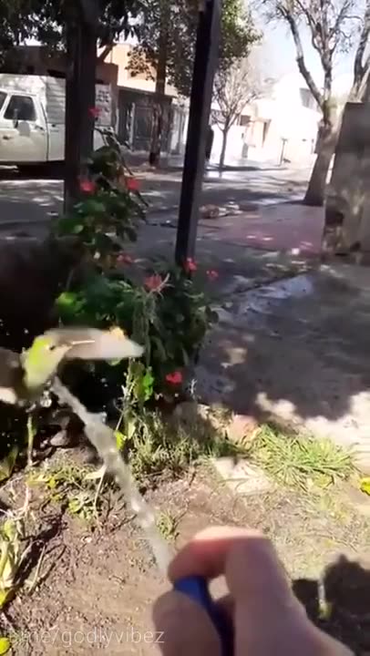 G'night frens. It’s time for a shower! 😁