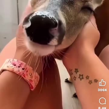 Here is an example that Humanity still exists!!