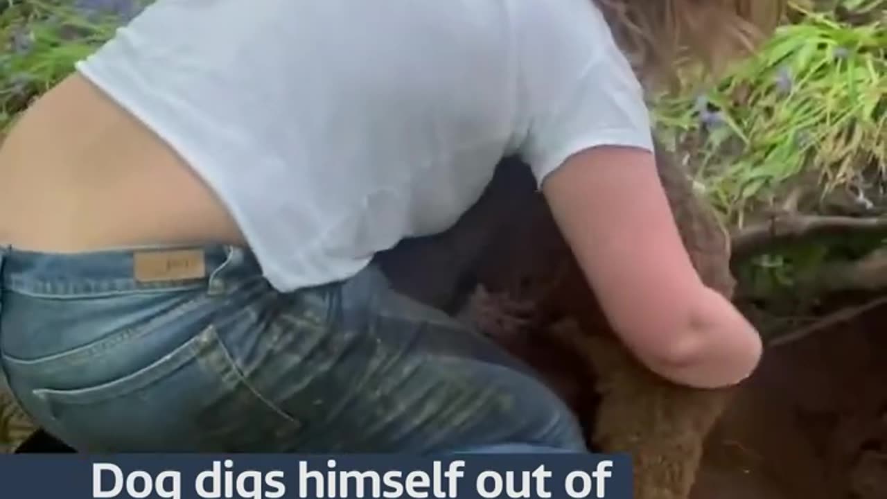 A woman was reunited with her #dog after it got stuck in a storm drain #itvnews #scotland