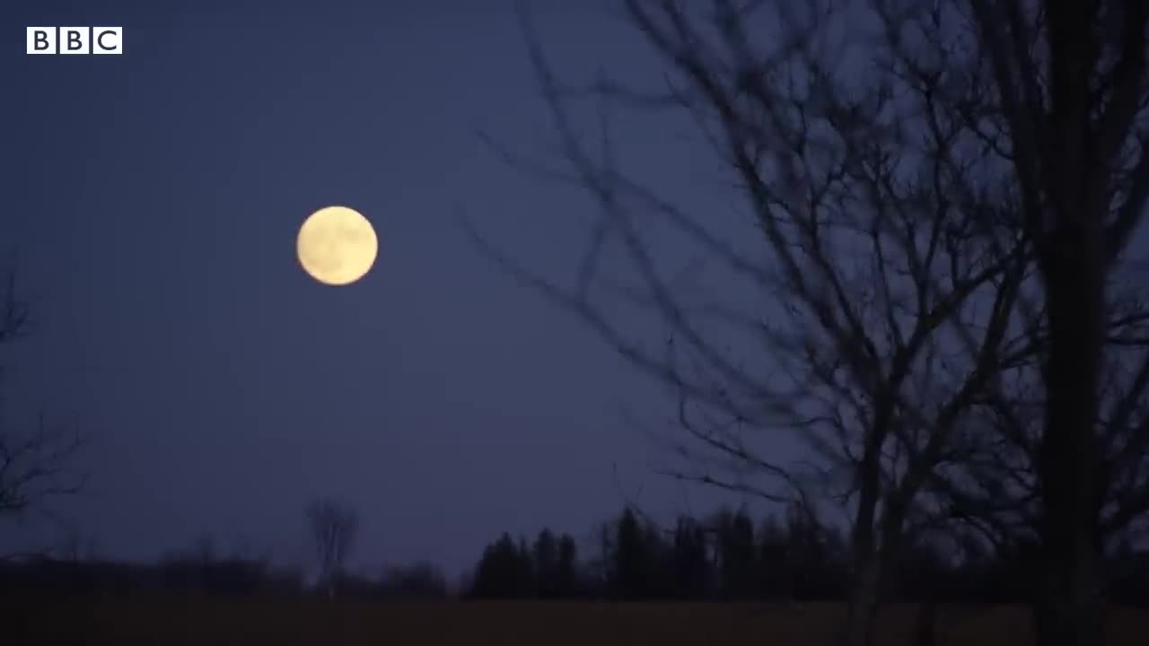 The unsolved mysteries of the Moon - BBC News