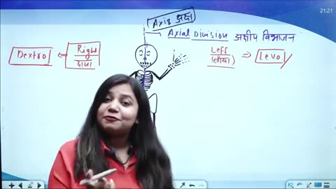 61 skeleton system 1