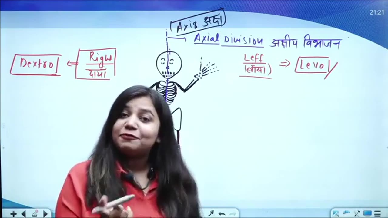 61 skeleton system 1