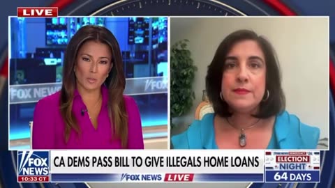 Malliotakis: If Kamala Harris gets elected, illegal immigration will get worse