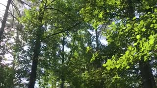 Sweet camp spot