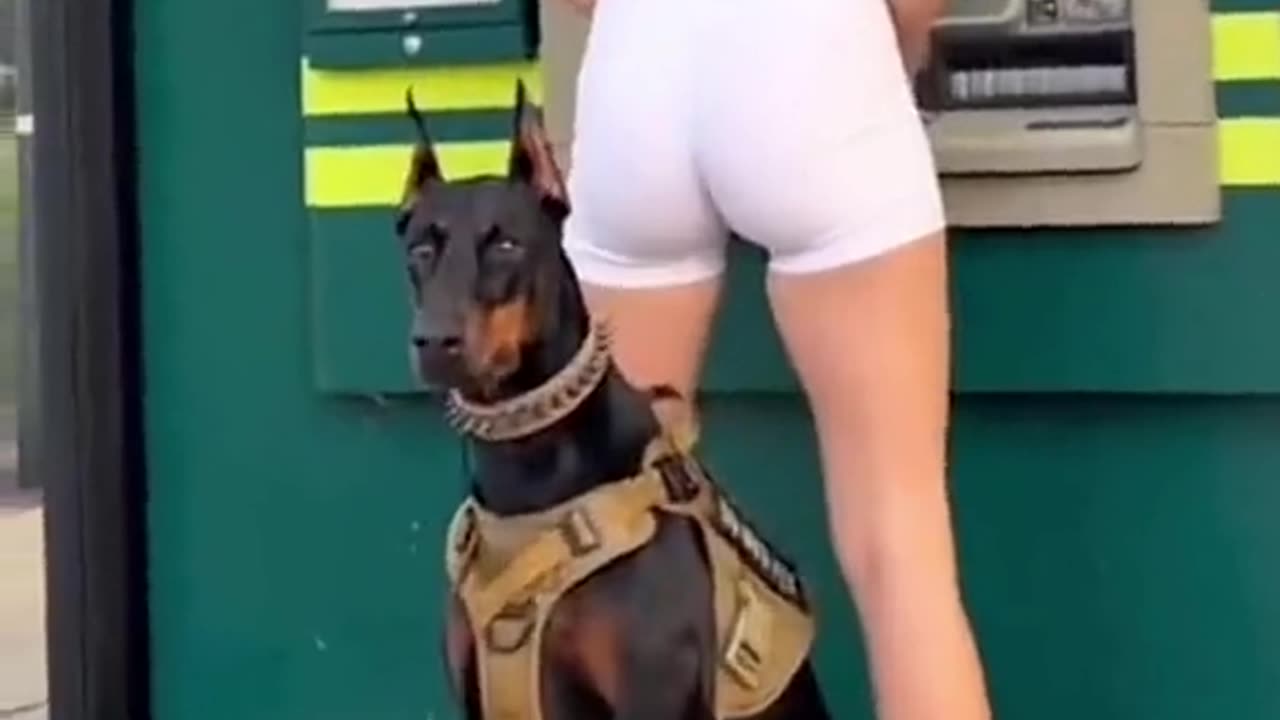 Girl Dog friendships funny video