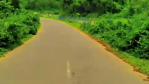 Fascinating road