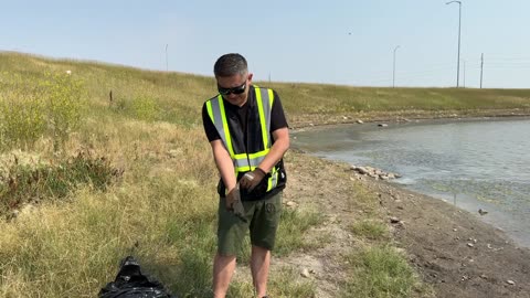 Recojo la basura de la calle en Canada