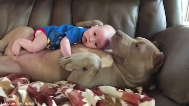 Baby and dog sharing their love