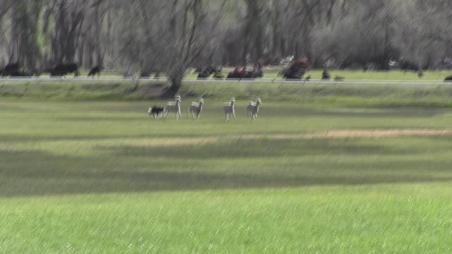 Brady Hotchkiss Run 1 May 7 2021