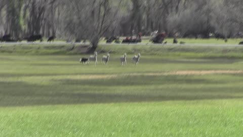 Brady Hotchkiss Run 1 May 7 2021