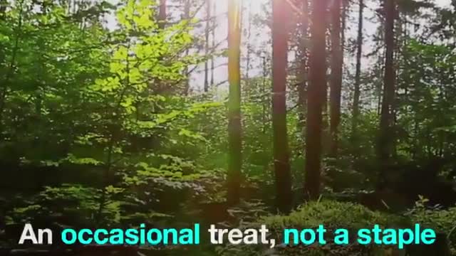 World Economic Forum DELETES Video On The Great Reset That Says - You'll Own NOTHING
