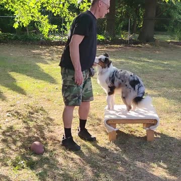 Structured Play Games Training and Practice c