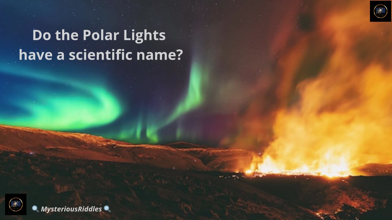 📸 🔍 The Magic Of The Polar Lights 📸 🔍