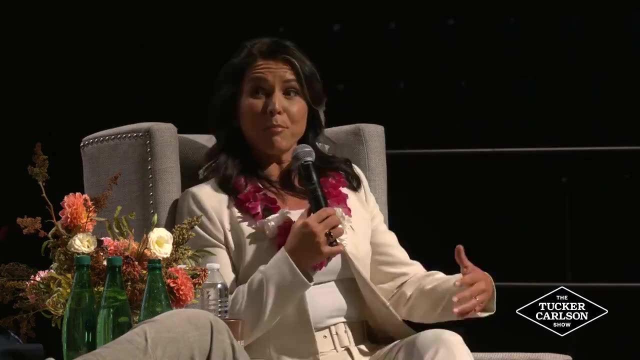 Tulsi Gabbard Rips Kamala Harris For Accepting Endorsement From Dick Cheney