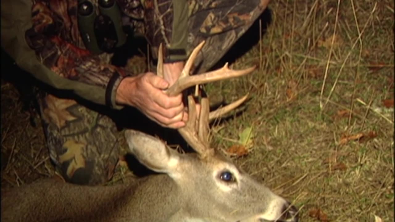 Huge Blacktail!