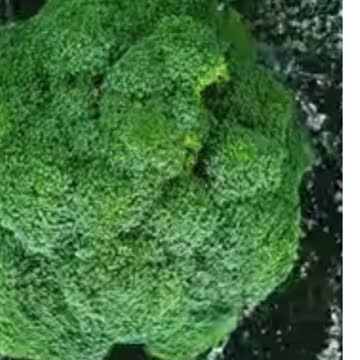 Lovely Broccoli