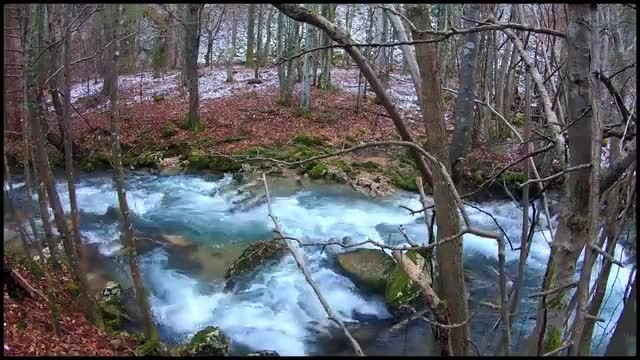 Nature Sounds & Relaxing Music