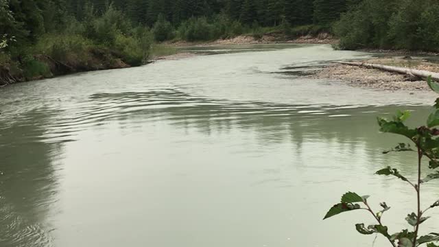 Jet Boat Drenches Bystanders at Carlan Cup Race