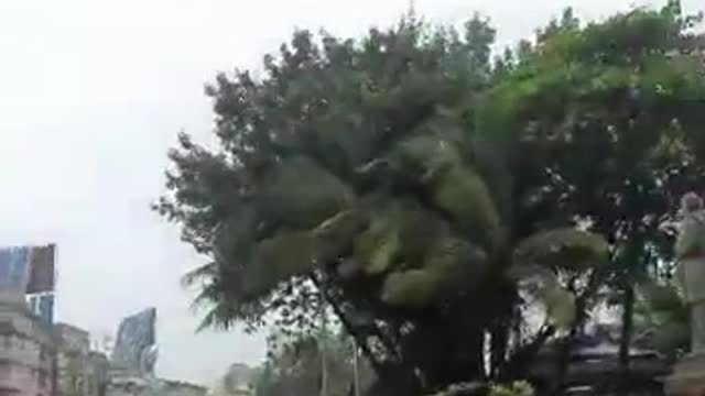 ΔΙΑΔΗΛΩΣΕΙΣ ΣΤΗΝ ΙΝΔΙΑ ΚΑΤΑ ΤΟΥ BILL GATES