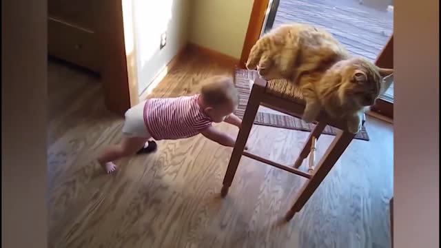 Baby play with cat and enjoy this play
