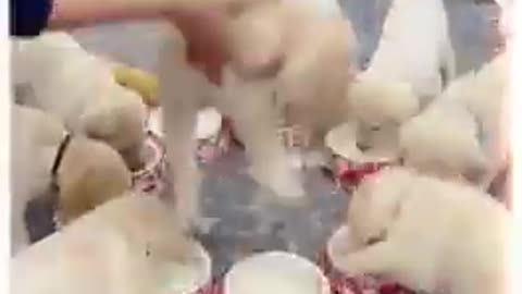 It's time to drink milk