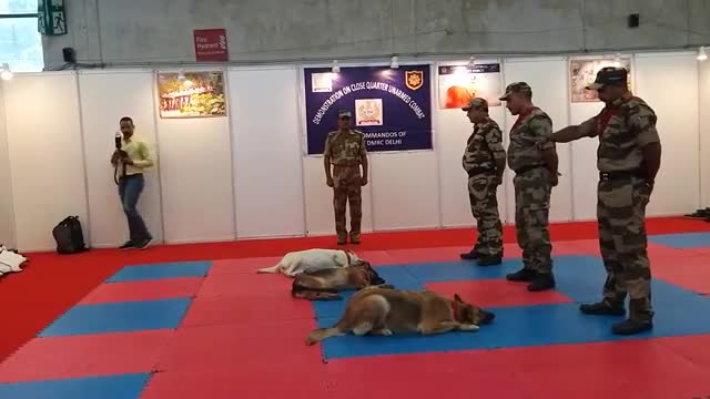 CISF demonstration of Dog Squad