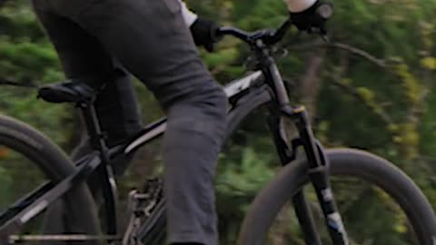 Fastplant Frontie