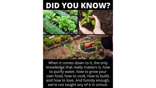 Grow your Own NOW