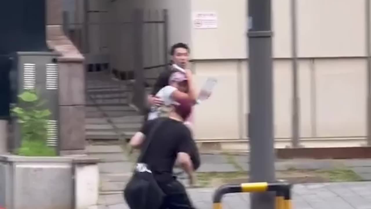 Crows in south korea are sggressive