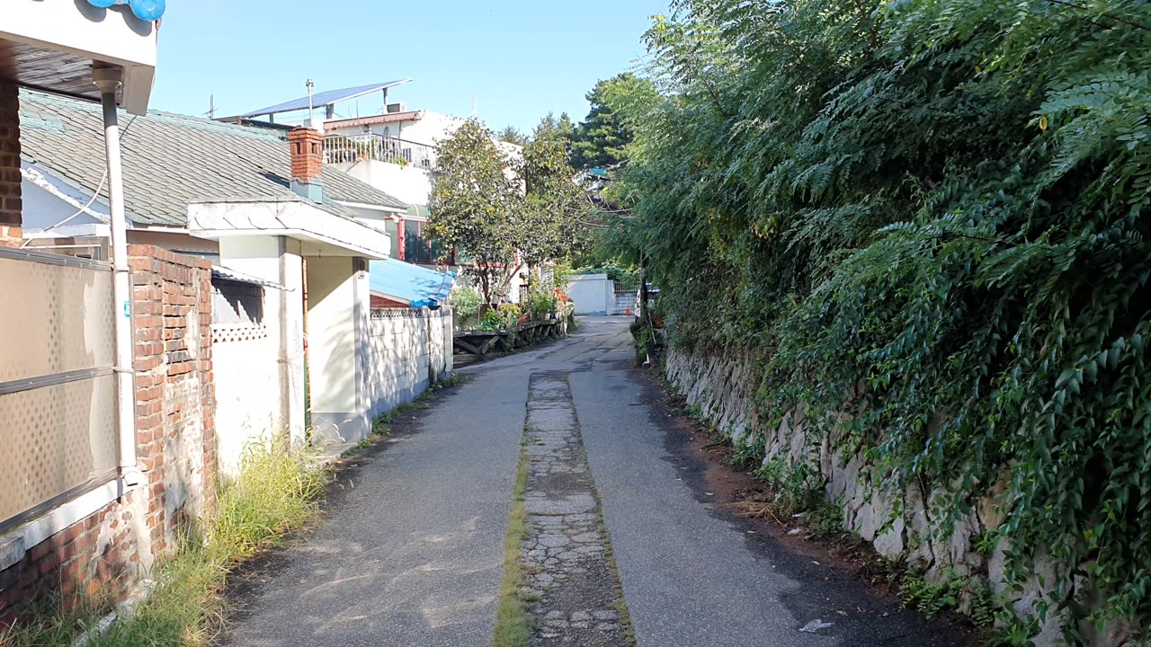 clear morning alleyway scene