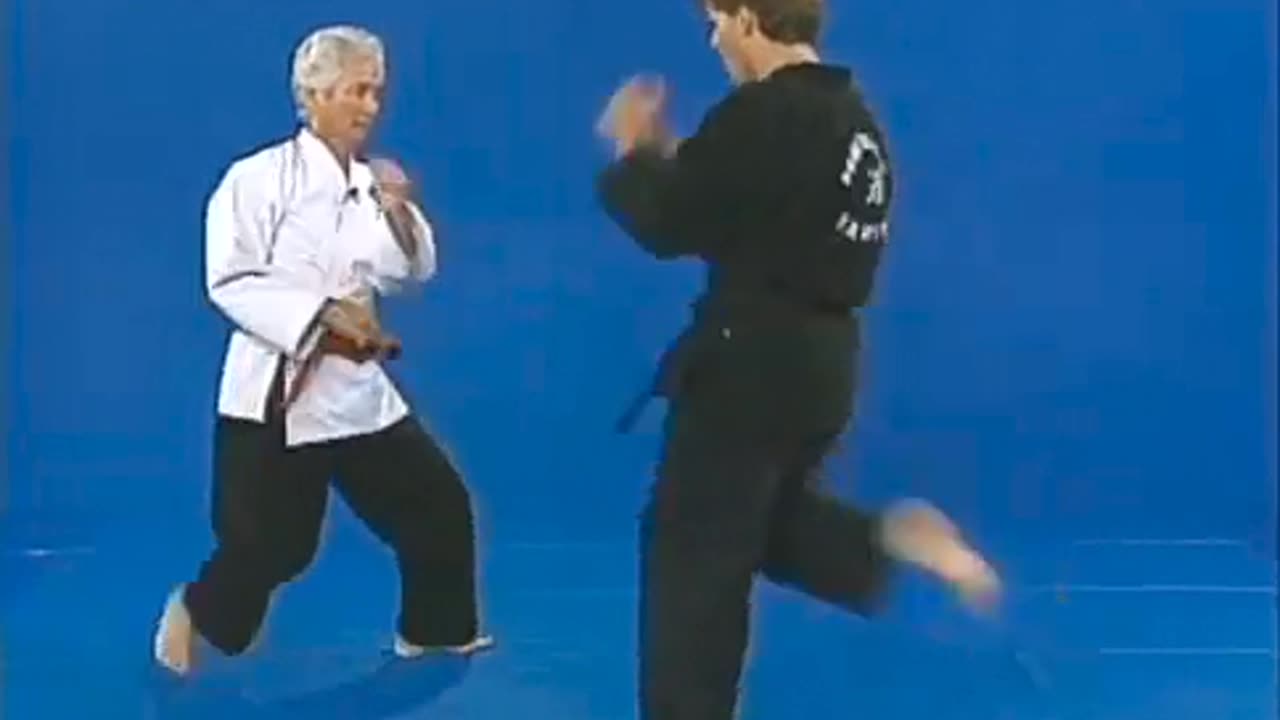 Bong Soo Han Hapkido Part 3 Purple Belt