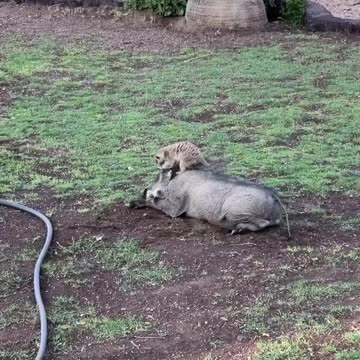 Best Of Friends 😆🤣😂