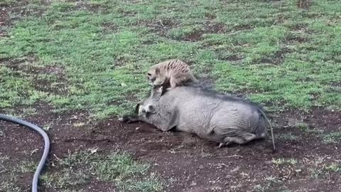 Best Of Friends 😆🤣😂