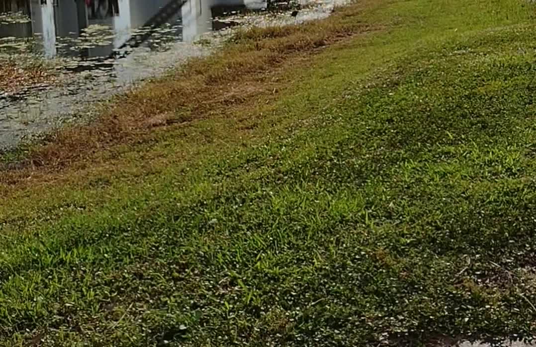 The nature zone: A nice day for a walk.