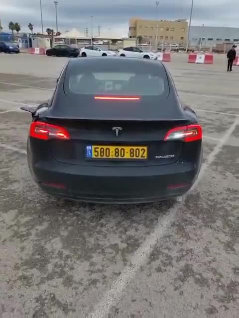 Model X exclusive Light Show easter egg will now be available on all Teslas.