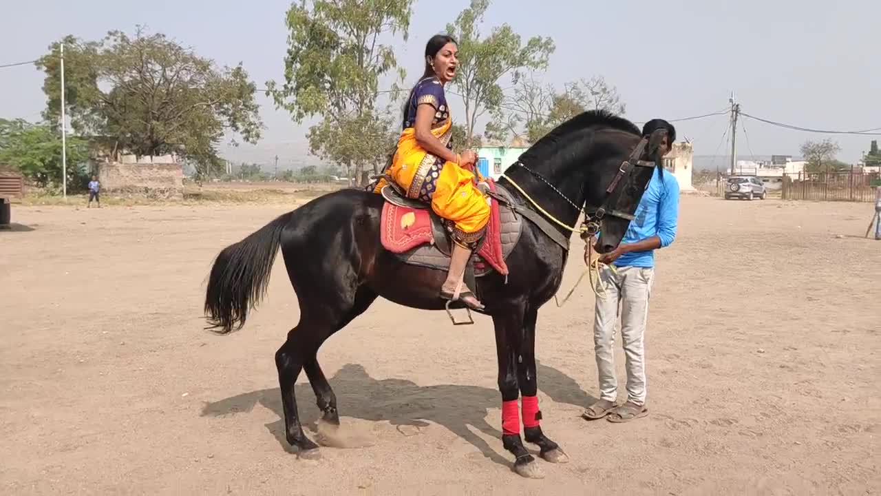 horse riding-