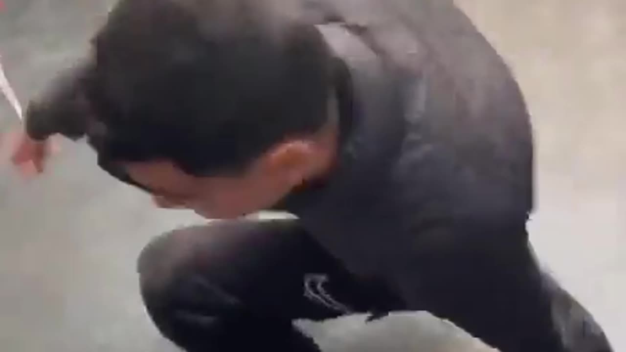 The Both Eat a Knuckle Burger at the Same Damn Time