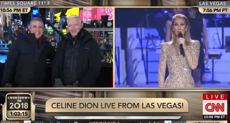 Canadian Celine Dion Takes Cheap Swipe at Trump on New Year's Eve