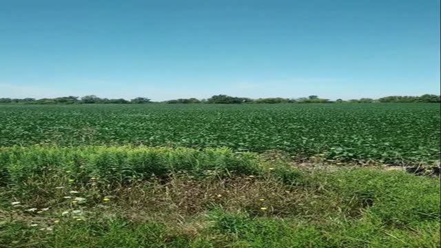 Video of fields