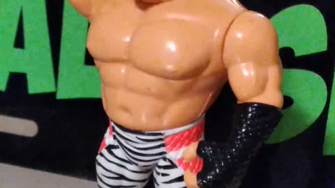 WWF Brutus beefcake hasbro / Matt Ahn Talk Show