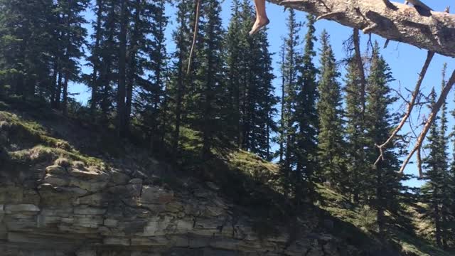 Tree branch river rope swing fail