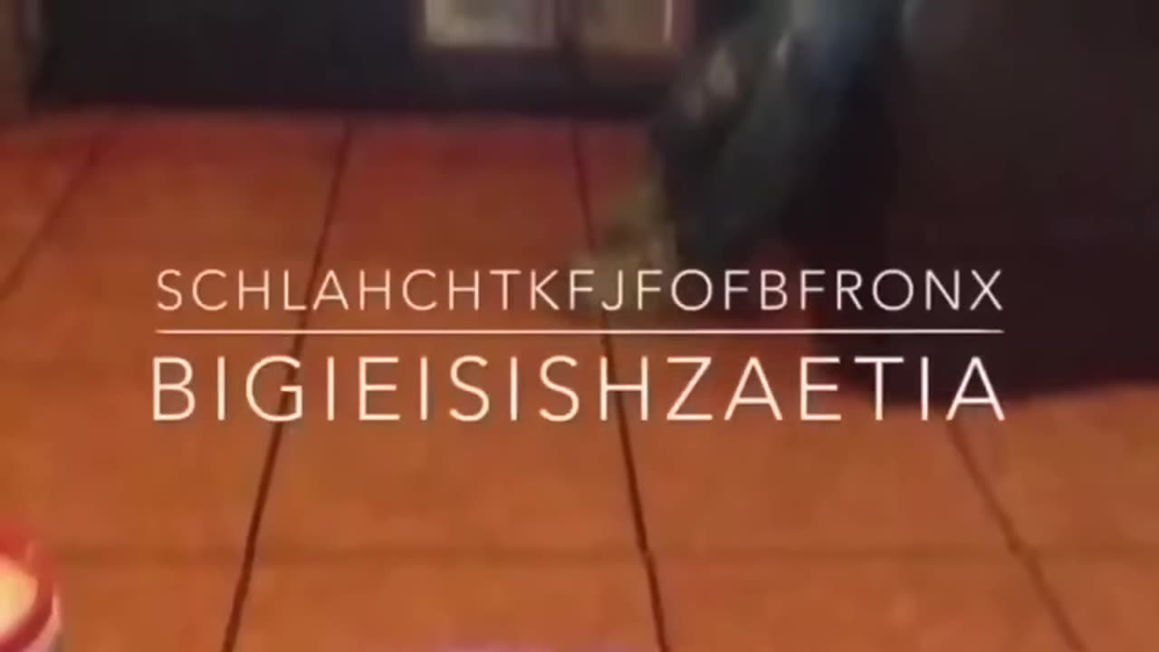 Schlahchtkfjfofbfronx - Bigieisishzaetia
