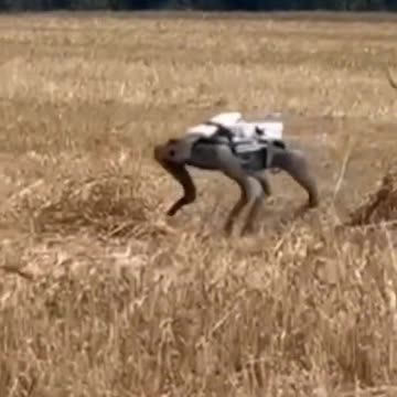 Future of War: Baba Yaga and Unitree Go2 in the service of the Ukrainian army