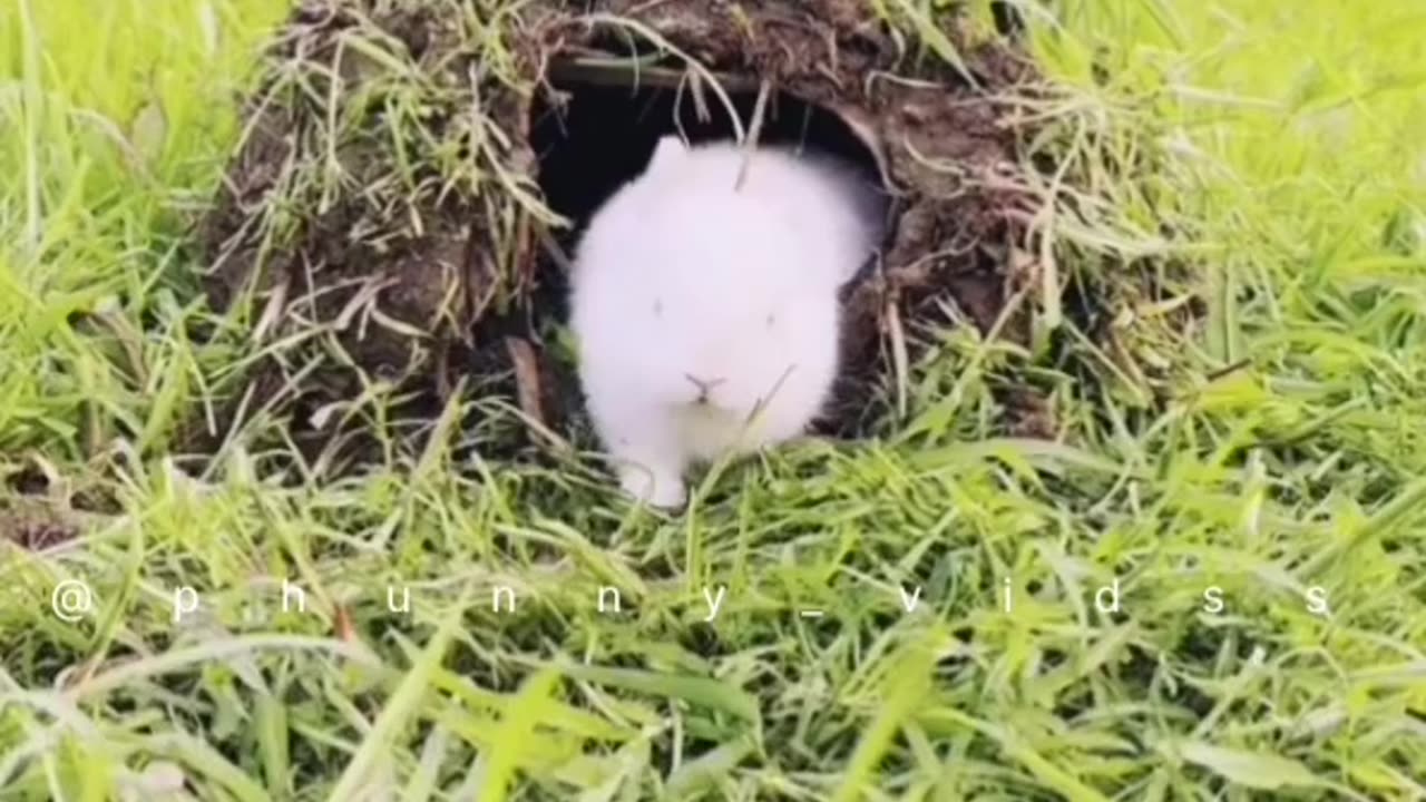 Cute baby & viral trends🤣🤣🤣