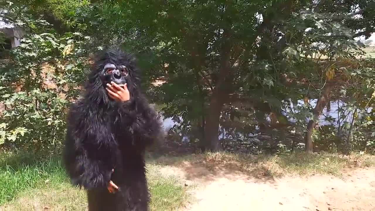 Fake Small Gorilla vs Dog Prank Funniest Dogs Scared TRY TO NOT LAUGH Raipuriya Pranker